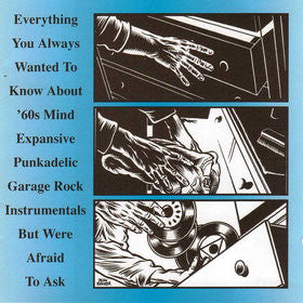 Various : Everything You Always Wanted To Know About '60s Mind Expansive Punkadelic Garage Rock Instrumentals But Were Afraid To Ask (CD, Comp)
