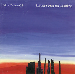 Edie Brickell : Picture Perfect Morning (CD, Album)