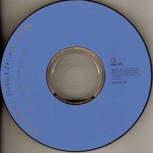 Edie Brickell : Picture Perfect Morning (CD, Album)