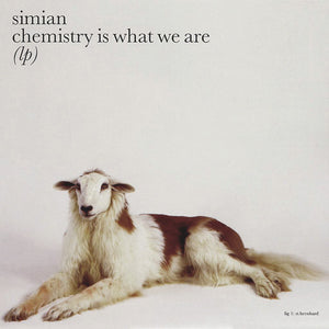 Simian : Chemistry Is What We Are (LP) (CD, Album, Enh)