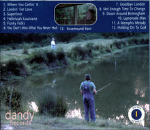 Load image into Gallery viewer, Dan Penn : Blue Nite Lounge (CD, Album)
