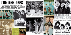 The Bee Gees* : Morning Of My Life - The Best Of 1965-66 (CD, Comp)