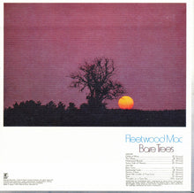 Load image into Gallery viewer, Fleetwood Mac = フリートウッド・マック* : Bare Trees = 枯木 (CD, Album, Ltd, RE, Pap)
