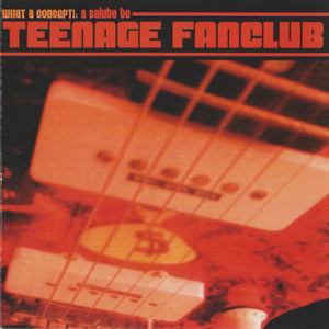 Various : What A Concept!: A Salute To Teenage Fanclub (CD, Comp)