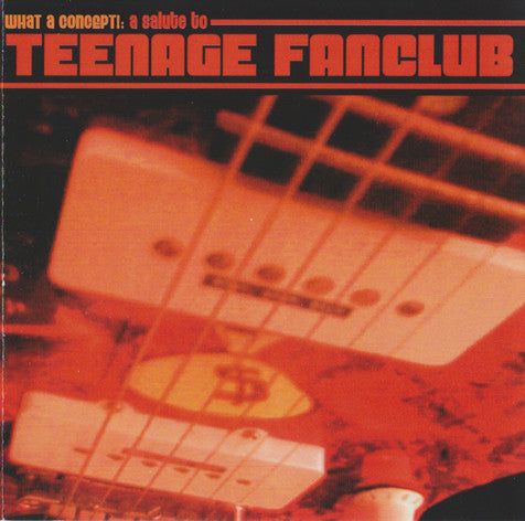Various : What A Concept!: A Salute To Teenage Fanclub (CD, Comp)