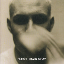 Load image into Gallery viewer, David Gray : Flesh (CD, Album, RE)
