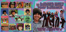 Load image into Gallery viewer, The DeFranco Family Featuring Tony DeFranco : Heartbeat, It&#39;s a Lovebeat and Save the Last Dance For Me  (CD, Comp, Ltd)
