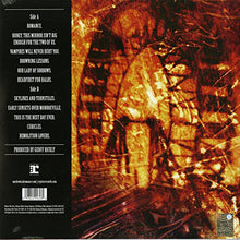 Load image into Gallery viewer, My Chemical Romance : I Brought You My Bullets, You Brought Me Your Love (LP, Album, RE)
