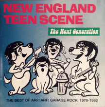 Load image into Gallery viewer, Various : New England Teen Scene: The Next Generation (CD, Comp)
