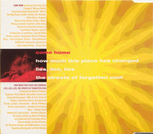 Load image into Gallery viewer, Martin Phillipps &amp; The Chills* : Come Home (CD, Single)
