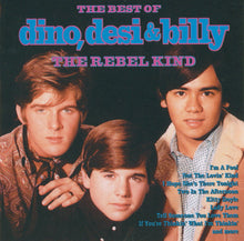 Load image into Gallery viewer, Dino, Desi &amp; Billy : The Best Of Dino, Desi &amp; Billy The Rebel Kind (CD, Comp)
