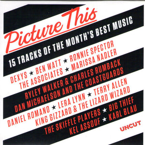 Various : Picture This (15 Tracks Of The Month's Best Music) (CD, Comp)