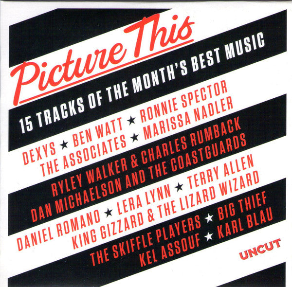 Various : Picture This (15 Tracks Of The Month's Best Music) (CD, Comp)