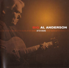 Load image into Gallery viewer, Big Al Anderson* : After Hours (CD, Album)
