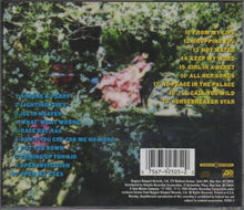 Load image into Gallery viewer, Grant McLennan : Horsebreaker Star (CD, Album, Promo)
