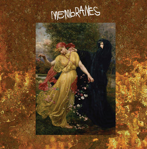 The Membranes : What Nature Gives... Nature Takes Away  (CD, Album)