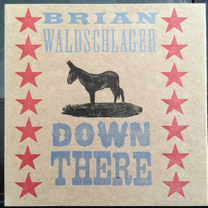 Brian Waldschlager : Down There (CD, Album)