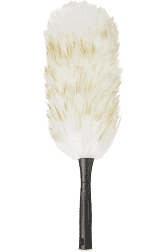 Feather Duster