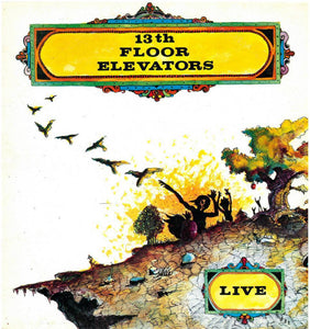 13th Floor Elevators - Live (LP)