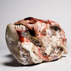 Emcee Eats - Cow Face From Outer Space - CD