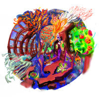 Corduroi - Oceanarium - Vinyl