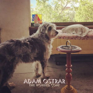 Adam Ostrar - Worried Coat - Vinyl